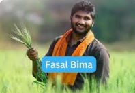 किसान 31 दिसम्‍बर तक फसल बीमा कराए